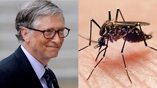 Bill Gates’ Mosquitos