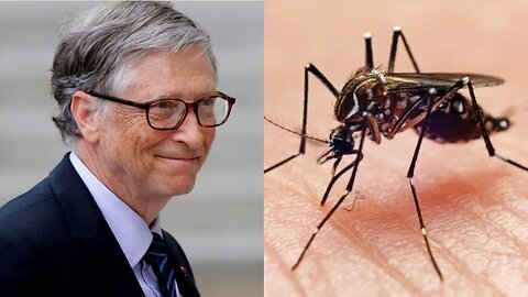 Bill Gates’ Mosquitos