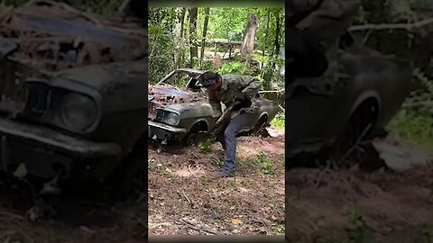 Digging a 1965 Mustang Fastback out of the woods!