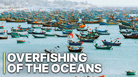 The End of the Line - Overfishing of our Oceans Crisis - Illegal Fishing - (2023) HaloRockDocs