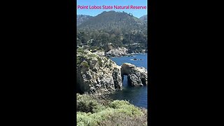 Discover the Beauty of Point Lobos State Natural Reserve #usa #nature