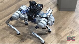 RoboGuide robot dog uses AI to assist the visually impaired