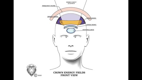 Developing Your Own Meta-Vision Using Your Pineal, Pituitary, & Scanner