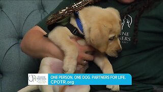 Partners for Life // Canine Partners