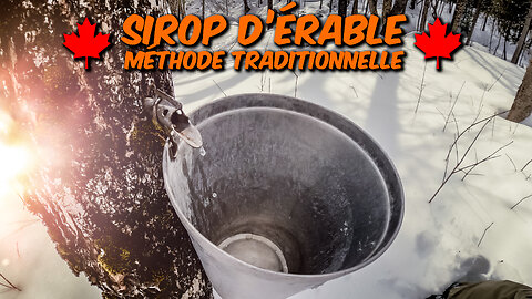 Fabrication de Sirop d'Érable - Petite Production Traditionelle !