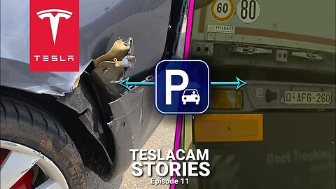 Tesla Sentry Mode caught truck CRASH a parked Tesla Model 3