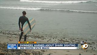 Swimmers warned about shark sighting