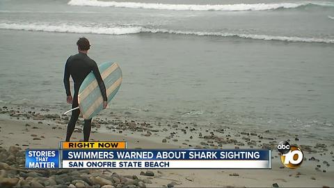 Swimmers warned about shark sighting