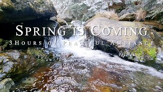 Springtime is Coming! Experience Serenity with Melting Snow and a Flowing Creek