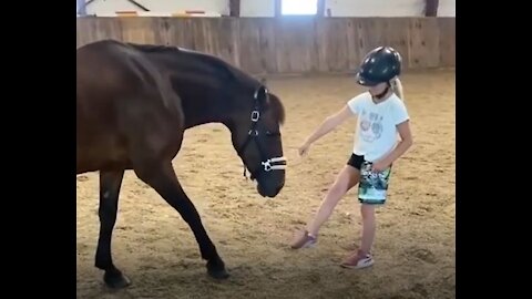 Cute And funny horse Videos Compilation cute moment #21