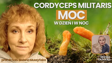 Cordyceps Militaris - MOC w dzień i w noc. Święte Grzyby| Monika Cichocka, prof. Bożena Muszyńska