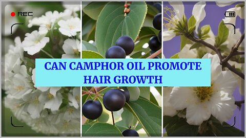 Can camphor oil promote hair growth: The Magic of Camphor Oil for Your Hair