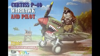 Tiger Models P-40 Warhawk Review/Preview