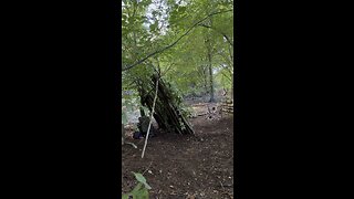 Some quick bushcraft