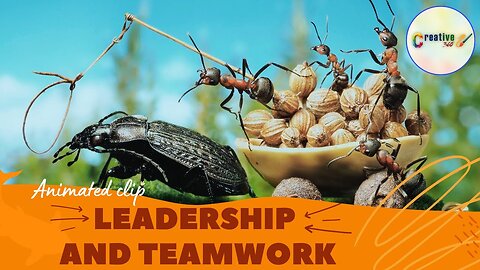 Teamwork and Leadership Animated short clip Creative 360 teamwork leadership motivation