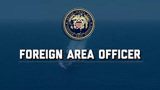 Foreign Area Officers Commercial