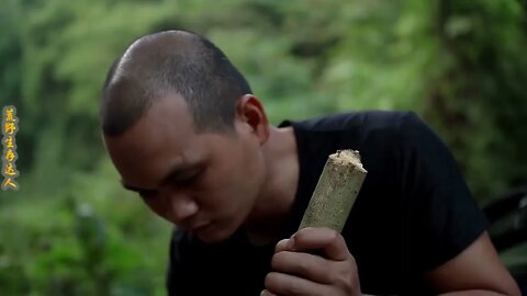 Man lives in the rain forest all year round and uses natural tree holes as shelter/Episode3