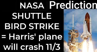 Prediction - NASA SHUTTLE BIRD STRIKE = Harris’ plane will crash Nov 3