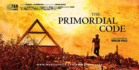 THE PRIMORDIAL CODE