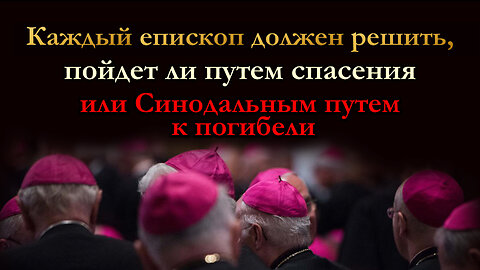 ВВП: Каждый епископ должен решить, пойдет ли путем спасения или Синодальным путем к погибели