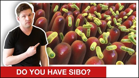 SIBO Symptoms || How Do You Know If You Have SIBO?