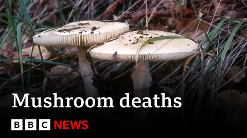 Australia mushroom deaths: Woman charged with murder - BBC News