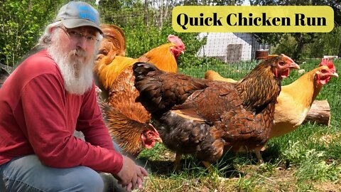 Quick Temporary Chicken Run | Spring Chicken Update