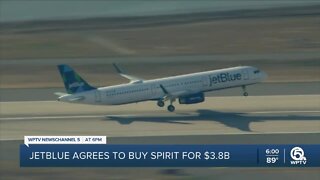 JetBlue looks to expand operations with purchase of Spirit Airlines