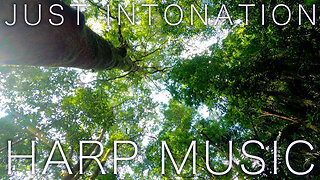 Just Intonation Music / Single Loop 🌿Gently Snuggle Up Harp Music #42 🌿 A=432hz