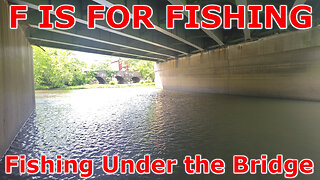 Fishing Under the Bridge