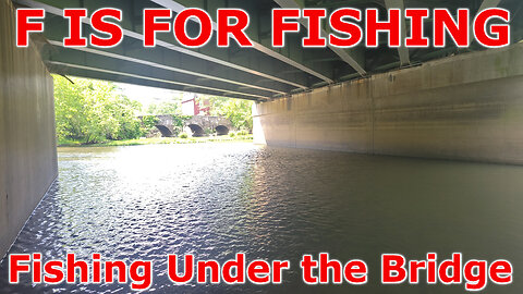 Fishing Under the Bridge