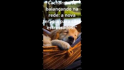 CACHORROS SE BALANÇANDO NA REDE: a nova terapia para cães estressados?