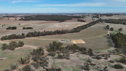 Alanvale in Autumn - Canola is coming up