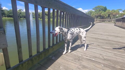 Gleason State Park Indian Harbour Beach Florida with Luna