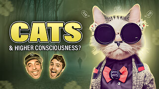 How Cats Achieve Higher Consciousness? A Hilarious Exploration with Brian!