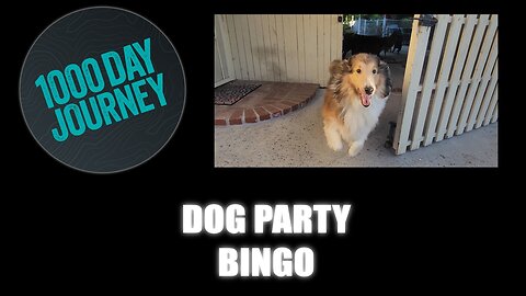 1000 Day Journey 0387 Dog Party Bingo