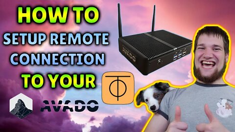 AVADO Remote Connection with ZeroTier - Connect Wirelessly