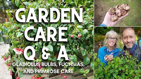 🌞💐 Garden Care Q & A - Gladiolus, Fuchsias, and Primroses 💐🌞