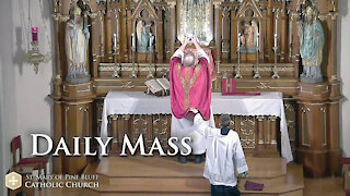 Holy Mass for Wednesday Nov. 24, 2021