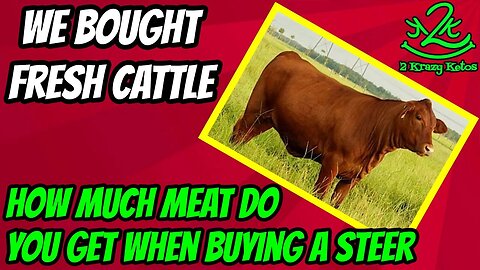 We bought an entire share of beef | How much meat do you get when buying a whole head of cattle