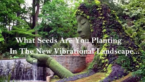 QP: What Seeds Are You Planting In The New Vibrational Landscape...