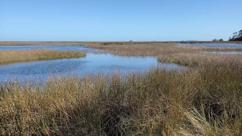 Skipper Bay Salt Marshes at Sunset - Winter 2022