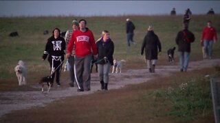 Pups pack Runaway Dog Park on its last night following FAA orders to close
