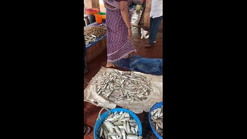 fish market in India