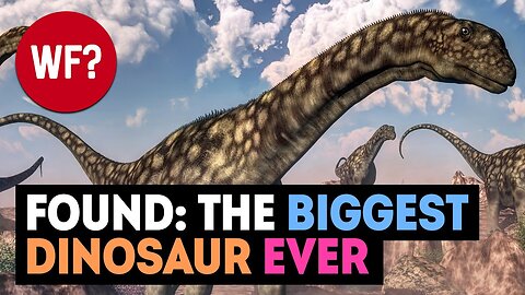 Largest Dinosaur EVER Discovered 😮 | Bigger than Patagotitan Majorum