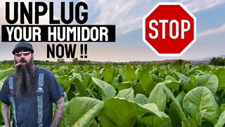 Cigar Humidor Humidification is Not Needed! | 2021 Cigar Prop