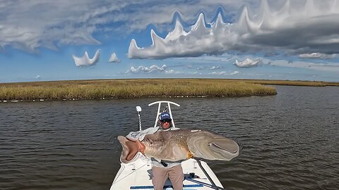 Catching a MONSTER on a Fly Rod!!!