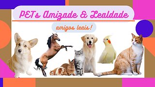 Apresentação do Canal Pets Amizade e Lealdade