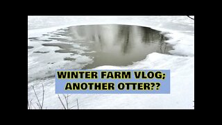 Winter lockdown, Another Otter in pond? Snow & Ice Southern Illinois FARM VLOG FEB 21