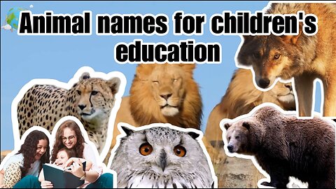 Collection of animals for children's education part 1